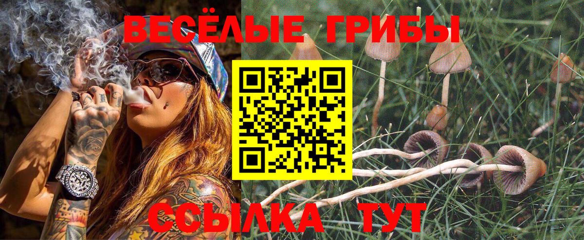 Лесной  Галлюциногенные грибы MAGIC MUSHROOMS  Вход с VPN 